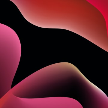 The Complete Guide to Crafting an Association Newsletter Your Members Can't-Wait to Read