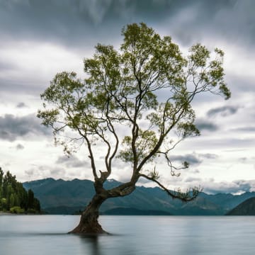 A better tomorrow for content creators